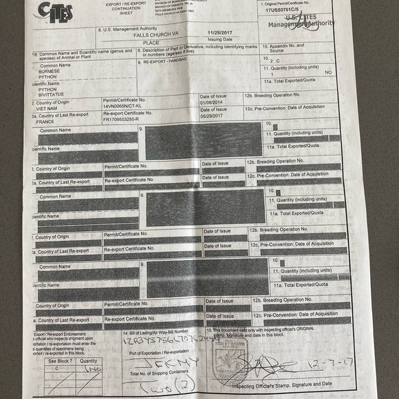 LV bag - Picture 14 of 16